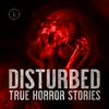 undefined Disturbed: True Horror Stories