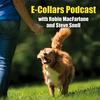 undefined Ecollars Podcast