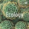 undefined Ecology