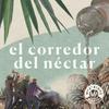undefined El corredor del néctar