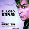 undefined EL LOBO ESTEPARIO