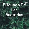 undefined El Mundo De Las Bacterias