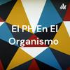 undefined El PH En El Organismo