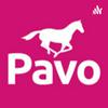 undefined El podcast de Piensos Pavo sobre caballos