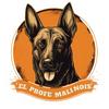 undefined El Profe Malinois | Adiestramiento canino