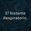 undefined El Sistema Respiratorio