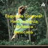 undefined Esquema Corporal Para La Danza Folclórica Mexicana
