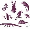 undefined Exotic Pets™