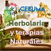 undefined "Herbolaria y terapias naturales"