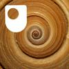 undefined Exploring mathematics: maths in nature and art - for iPod/iPhone