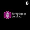 undefined Feminismos en plural