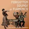 undefined Forgotten Sounds of Flamenco