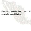 undefined Fuerzas Productivas En El Sector Cafetalero En México