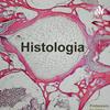 undefined Histologia