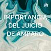 undefined IMPORTANCIA DEL JUICIO DE AMPARO