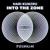 undefined Into the Zone