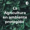 undefined La Agricultura en ambiente protegido