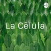 undefined La Cèlula
