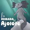 undefined La mirada del ajolote