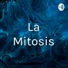 undefined La Mitosis