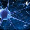 undefined LA NEURONA