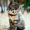 undefined MALTRATO ANIMAL