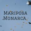 undefined Mariposa Monarca