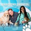 undefined Mascotas Caracol