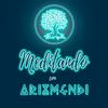 undefined Meditando con Arizmendi