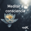 undefined Meditar a consciencia
