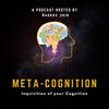 undefined Meta-Cognition