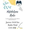undefined Metabolismo Radio