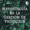 undefined Metodología De La Gestión De Proyectos