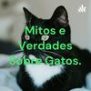 undefined Mitos e Verdades Sobre Gatos.