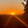 undefined Natural Sounds in the Raw
