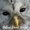 undefined Nature Sound World - Luontoäänien maailma