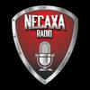 undefined Necaxa Radio