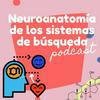 undefined Neuroanatomía de los sistemas de búsqueda