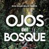 undefined Ojos del Bosque - En el Ocaso de los Tiempos