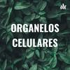 undefined ORGANELOS CELULARES