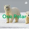 undefined Oso Polar