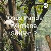 undefined Osos Panda Ximena Guillén 2L