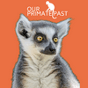 undefined Our Primate Past