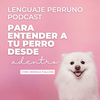 undefined Lenguaje Perruno