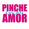 undefined PINCHE GRAN AMOR