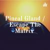 undefined Pineal Gland / Escape The Matrix