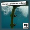 undefined Plongée dans les océans
