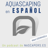 undefined Podcast de Aquascaping en Español