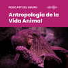 undefined Podcast del Grupo de Investigación Antropología de la Vida Animal
