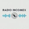 undefined Radio Incomex